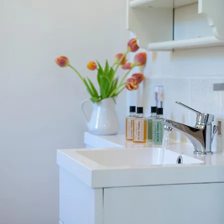 Avlaki 빌라 Vlikhón